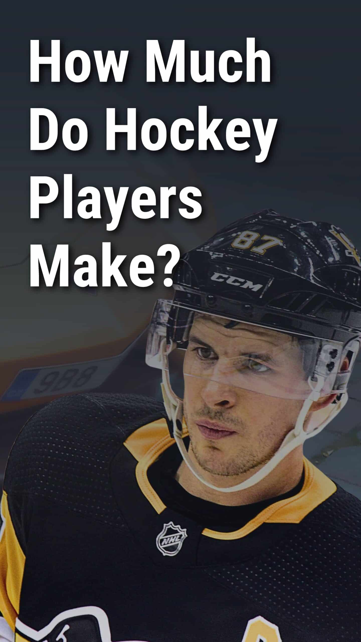 How Much Do Hockey Players Make?